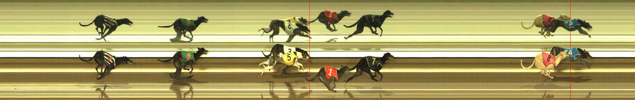 Photo finish for The Meadows Race 9