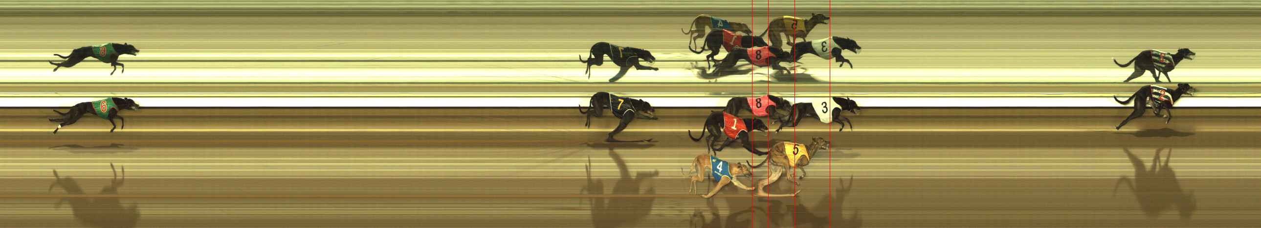 Photo finish for The Meadows Race 10