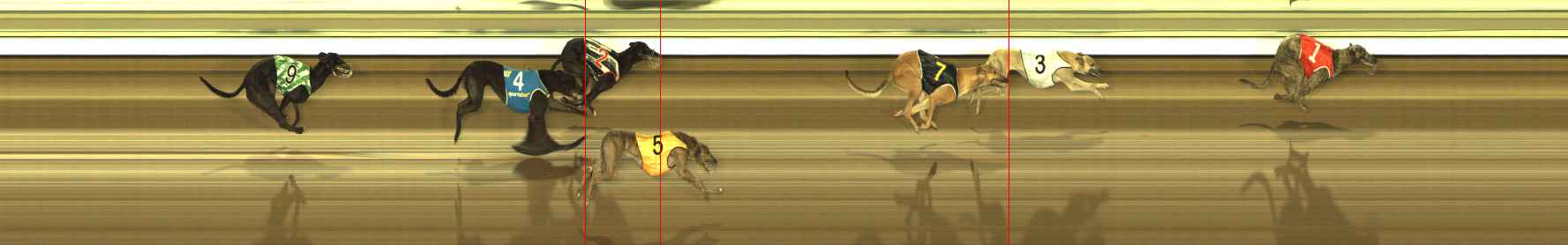 Photo finish for The Meadows Race 11