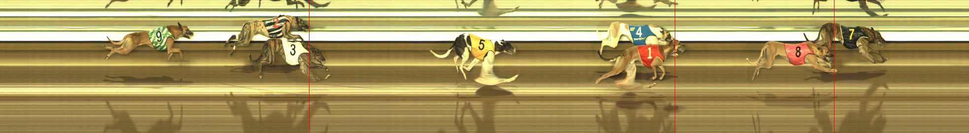 Photo finish for The Meadows Race 12