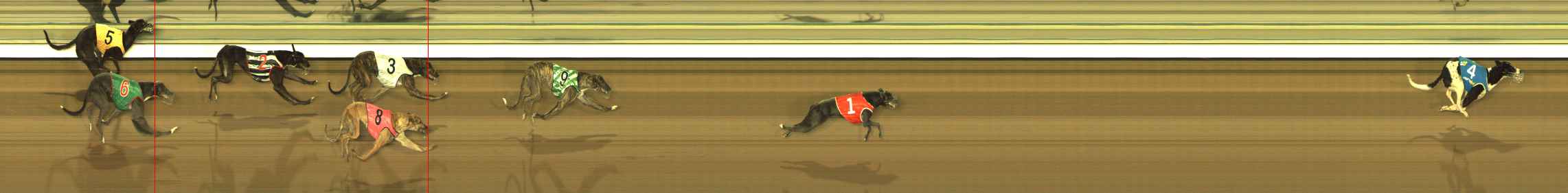 Photo finish for The Meadows Race 1