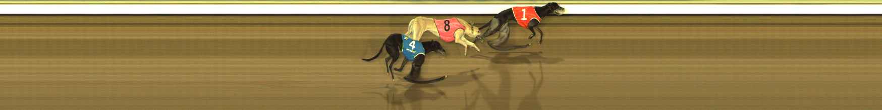 Photo finish for The Meadows Race 4