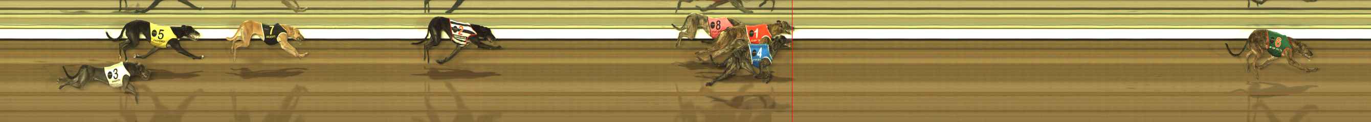 Photo finish for The Meadows Race 8