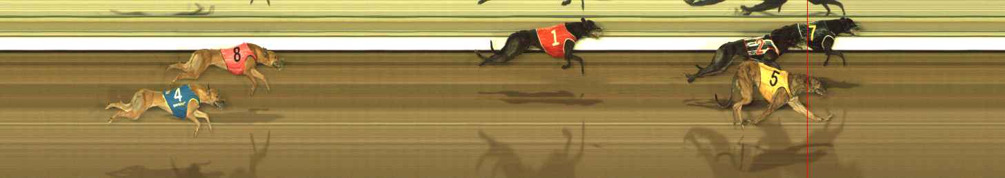 Photo finish for The Meadows Race 9