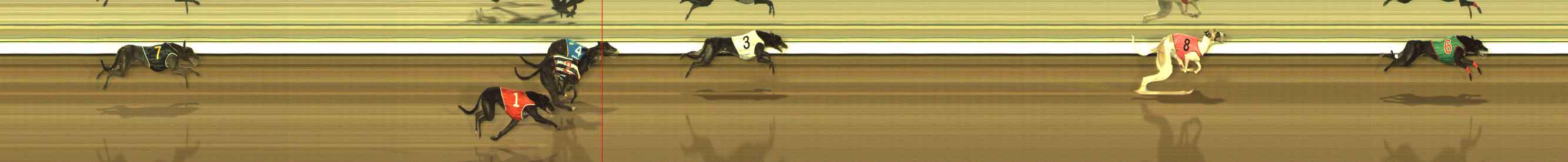 Photo finish for The Meadows Race 10