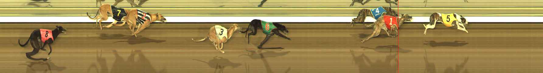 Photo finish for The Meadows Race 11