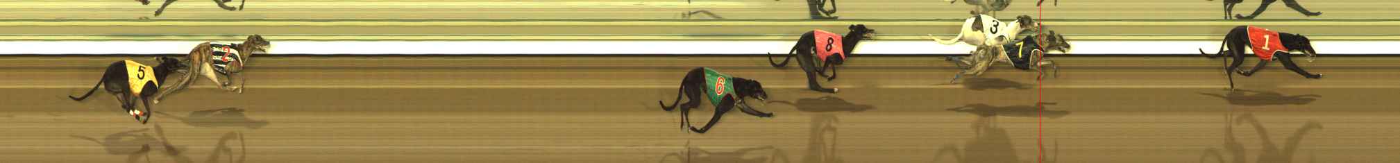 Photo finish for The Meadows Race 12