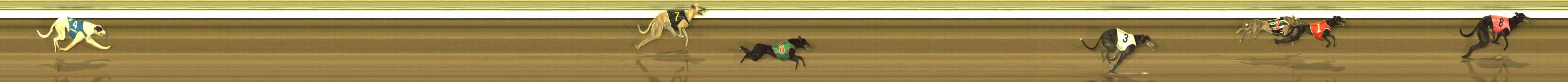 Photo finish for The Meadows Race 9