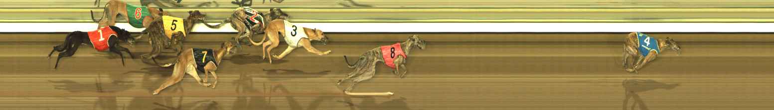 Photo finish for The Meadows Race 10