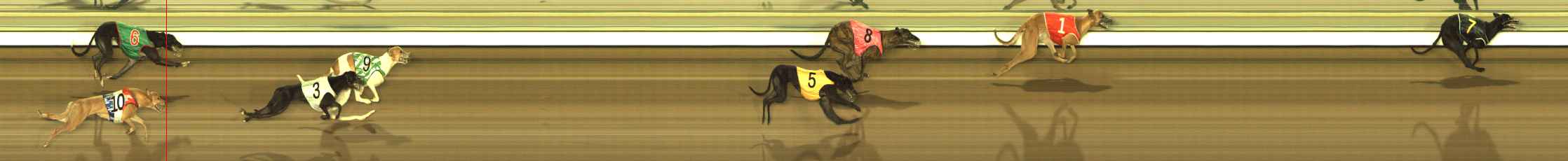 Photo finish for The Meadows Race 11