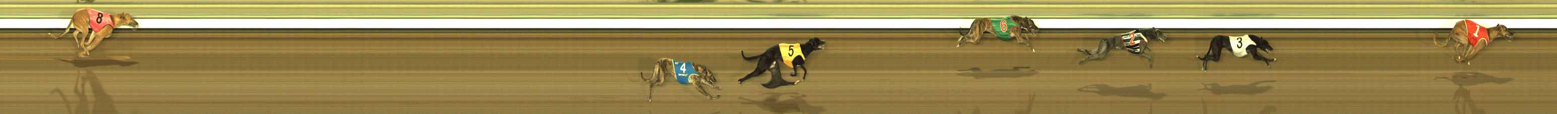 Photo finish for The Meadows Race 1