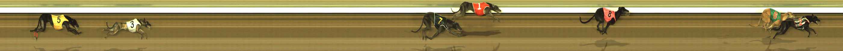Photo finish for The Meadows Race 2