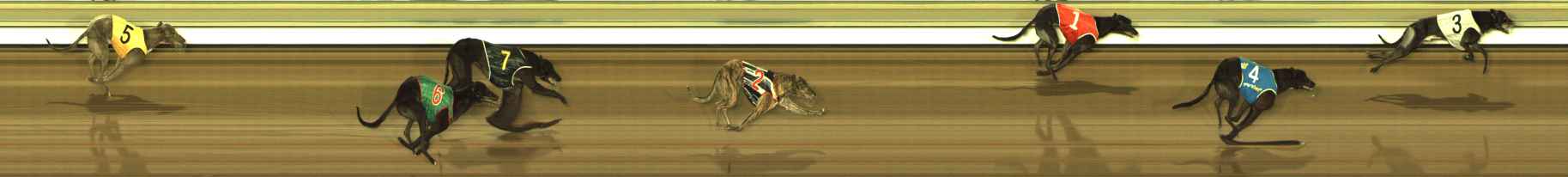 Photo finish for The Meadows Race 3