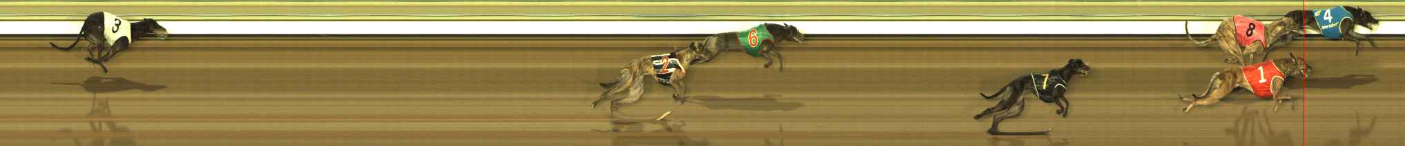 Photo finish for The Meadows Race 5