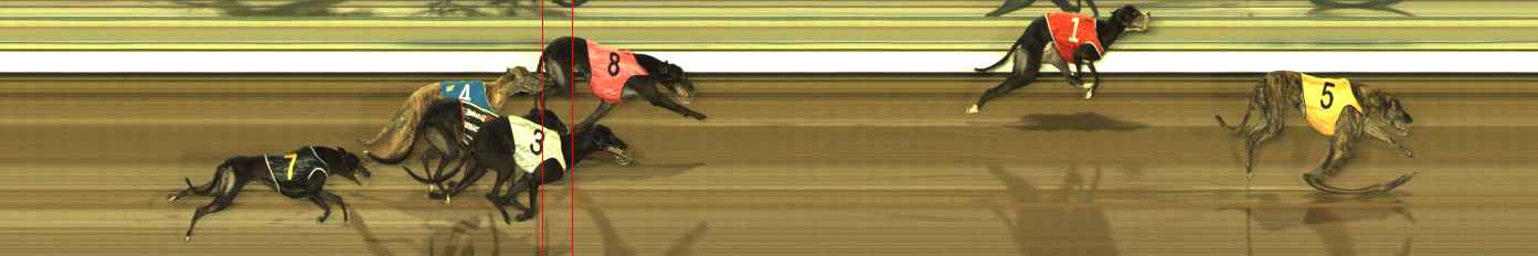 Photo finish for The Meadows Race 7