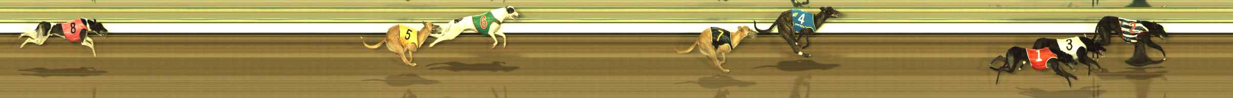 Photo finish for The Meadows Race 10