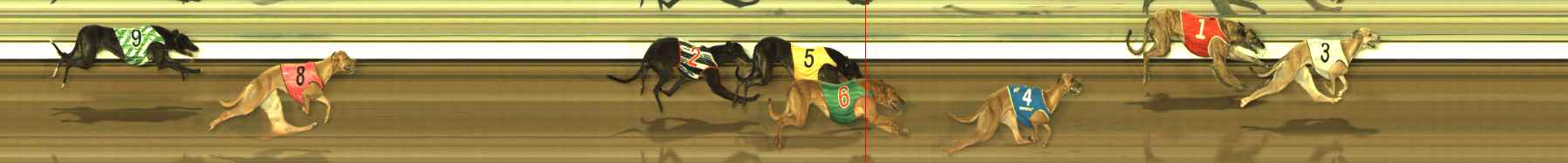 Photo finish for The Meadows Race 11