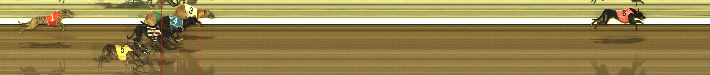 Photo finish for The Meadows Race 12