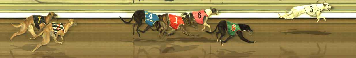Photo finish for The Meadows Race 5