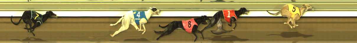 Photo finish for The Meadows Race 9