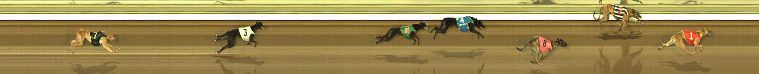 Photo finish for The Meadows Race 10