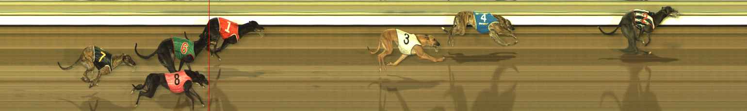 Photo finish for The Meadows Race 11