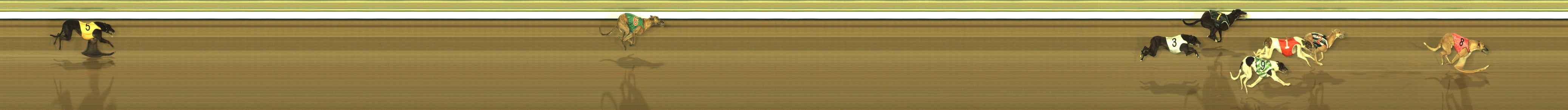 Photo finish for The Meadows Race 1