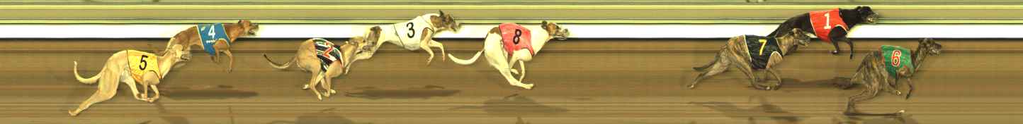 Photo finish for The Meadows Race 8
