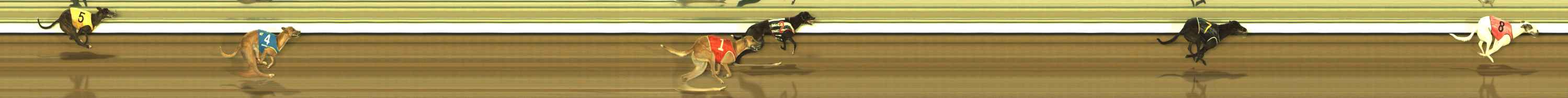 Photo finish for The Meadows Race 9