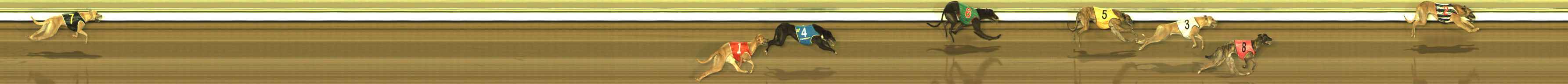 Photo finish for The Meadows Race 10