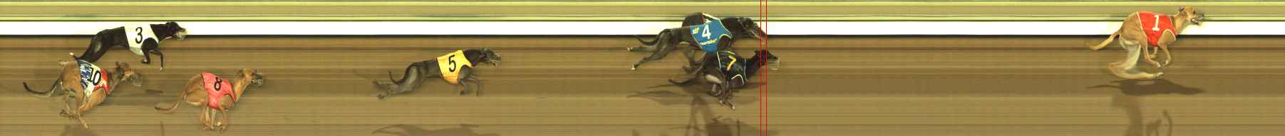 Photo finish for The Meadows Race 11