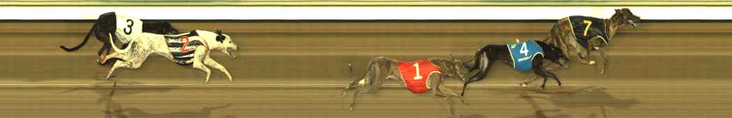 Photo finish for The Meadows Race 7