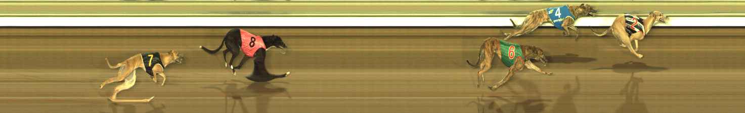 Photo finish for The Meadows Race 9