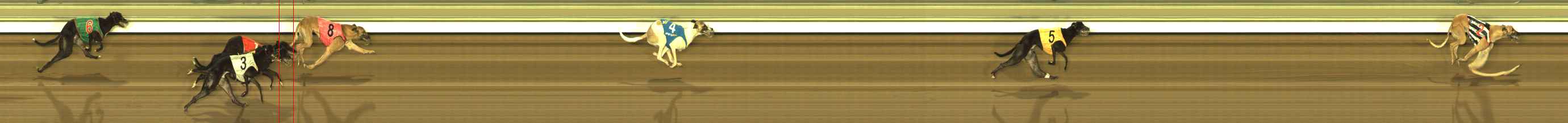 Photo finish for The Meadows Race 11