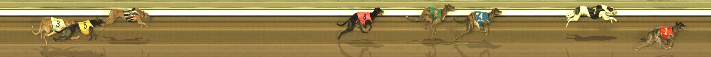 Photo finish for The Meadows Race 12