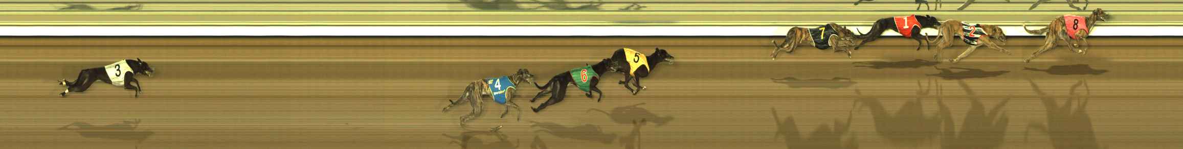 Photo finish for The Meadows Race 2