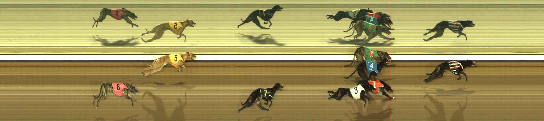 Photo finish for The Meadows Race 3