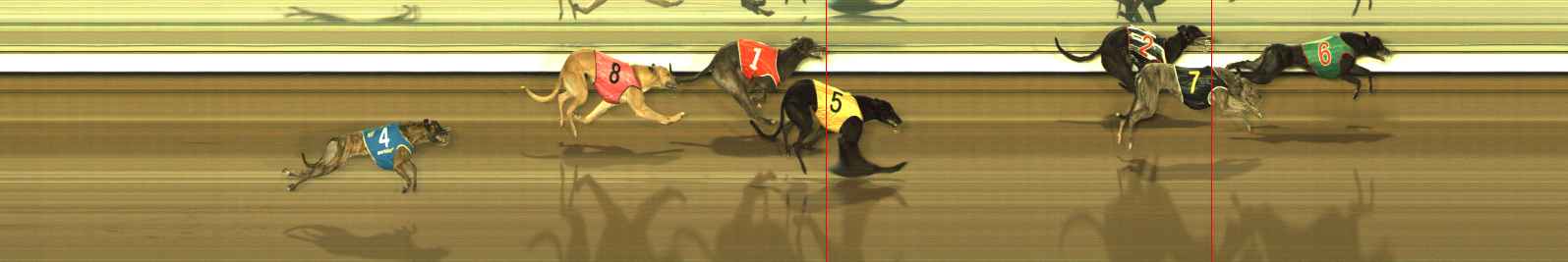 Photo finish for The Meadows Race 6