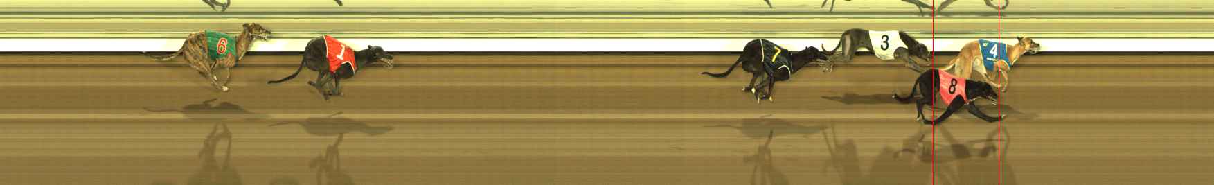 Photo finish for The Meadows Race 9