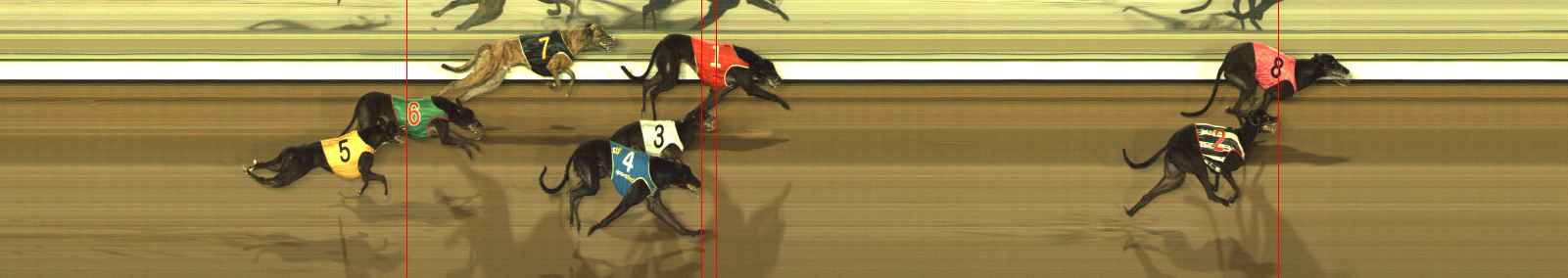 Photo finish for The Meadows Race 11