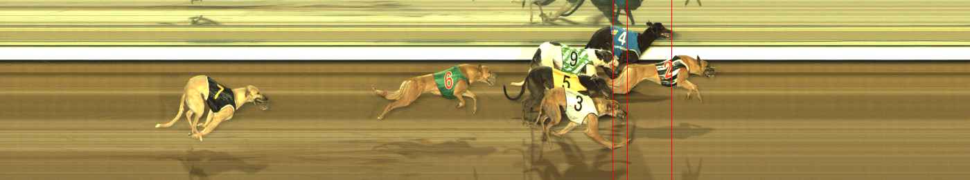 Photo finish for The Meadows Race 12