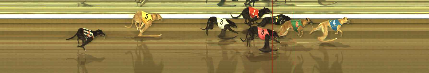 Photo finish for The Meadows Race 2