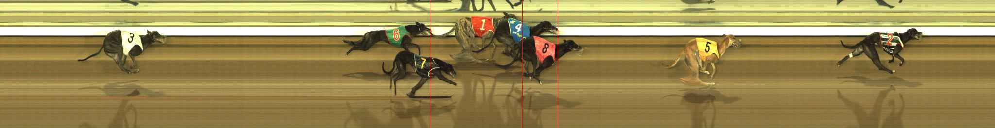 Photo finish for The Meadows Race 5