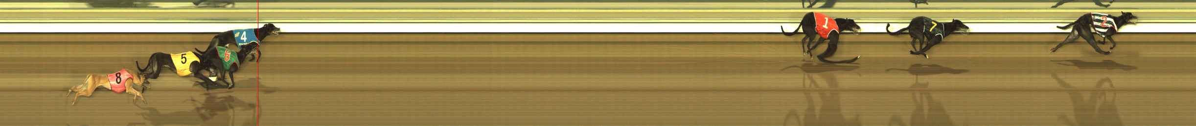 Photo finish for The Meadows Race 9