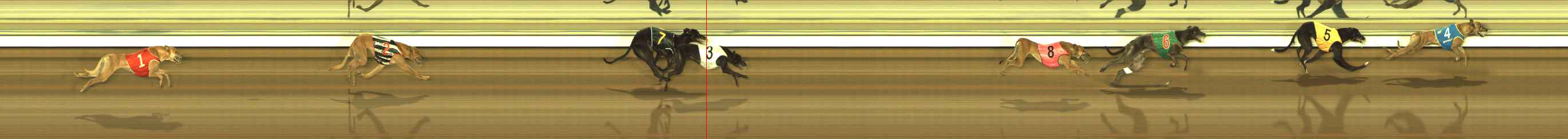 Photo finish for The Meadows Race 10