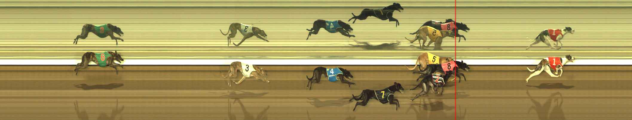 Photo finish for The Meadows Race 11