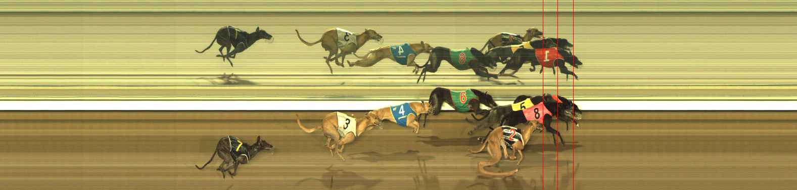 Photo finish for The Meadows Race 12