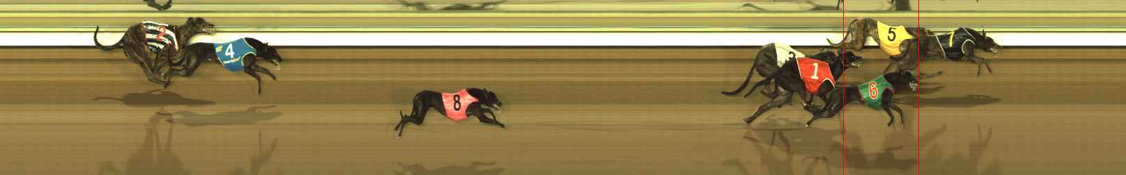 Photo finish for The Meadows Race 2