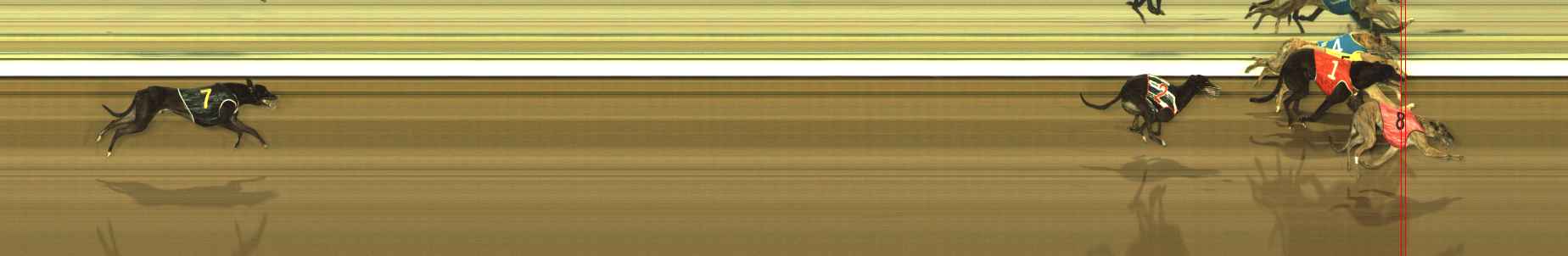 Photo finish for The Meadows Race 4