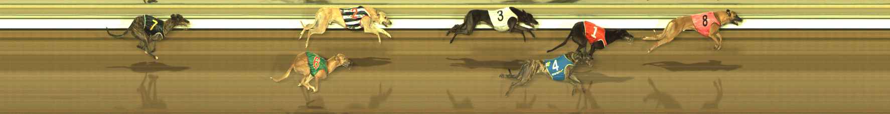 Photo finish for The Meadows Race 5